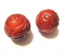 Coral SC